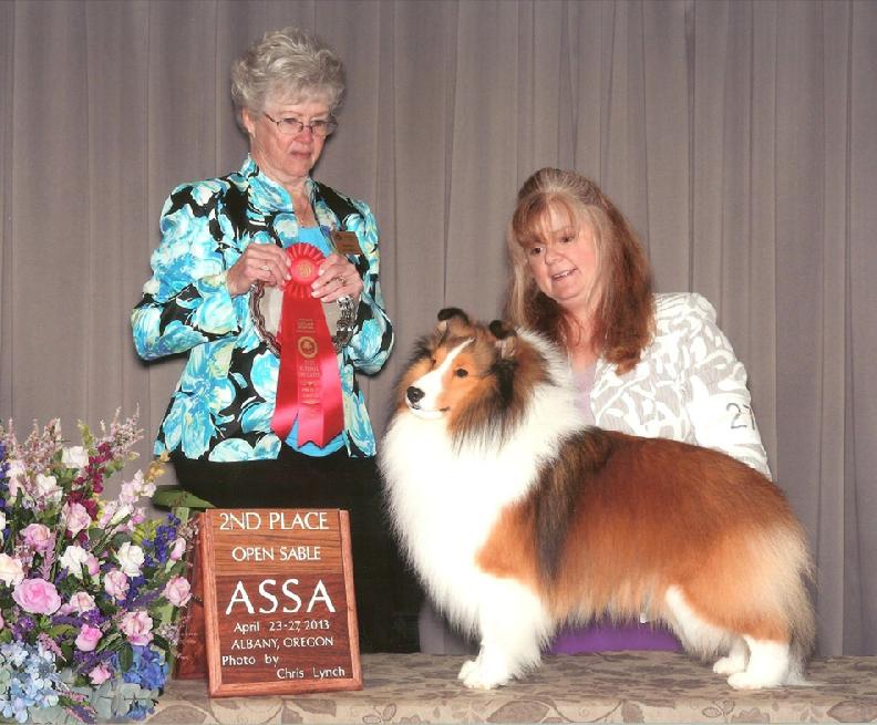 Regalstar Shelties Our Boys Regalstar Shelties